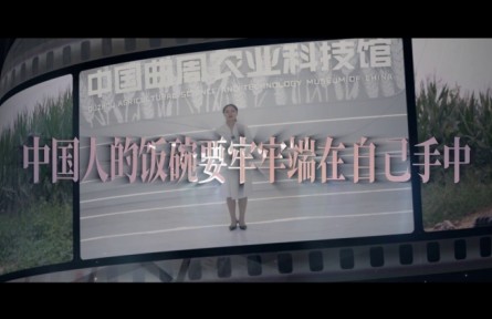 中国人的饭碗要牢牢端在自己手中