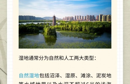 湿地何以被称为“地球之肾”?