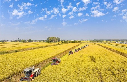 首提“常态化精准帮扶”！2026年中央一号文件释放哪些“新信号”？