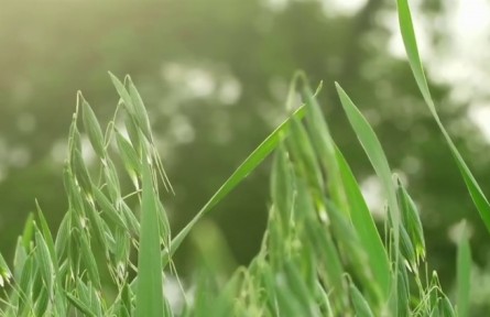 《首席科学家的故事》：金穗惠武川