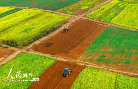 江西樟树：立春将至农事忙