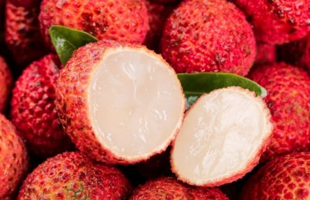 无核荔枝是用了绝育药、打了激素？