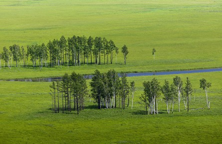 科技名词|生态修复 ecological restoration