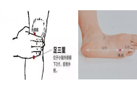 健康问答|春季养生要点有哪些？