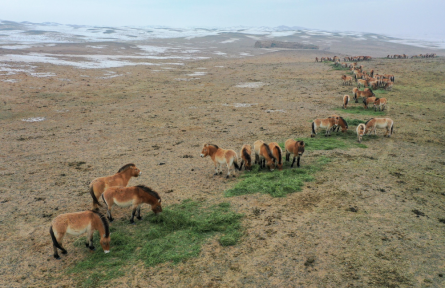 自然保护区 nature reserves