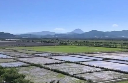 【新春走基層】當“水稻老張”遇上“AI小張”