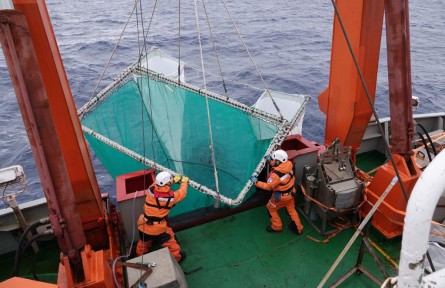 南极“粮仓”！我国磷虾研究促进产业升级