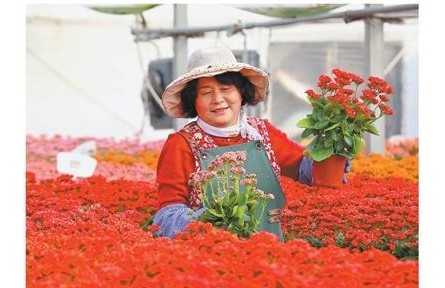 北方花市红红火火