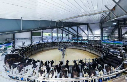 一杯放心奶背后的殷殷嘱托