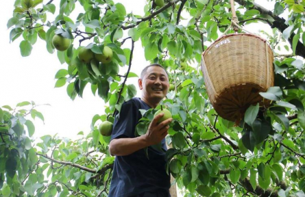 云南昆明:地理标志产品成“金名片” 年产值超过2594亿元