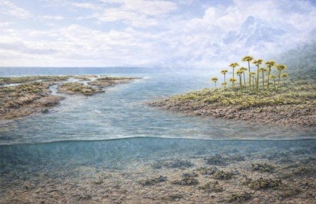 陆地上最早何时大规模出现植物?科学家有新发现