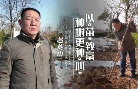 每日一星|赵英山：育“苗”致富 种树更种“心”