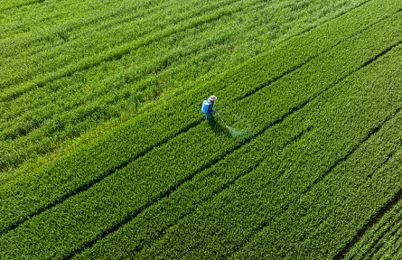 科技名词|绿色农药 green pesticide