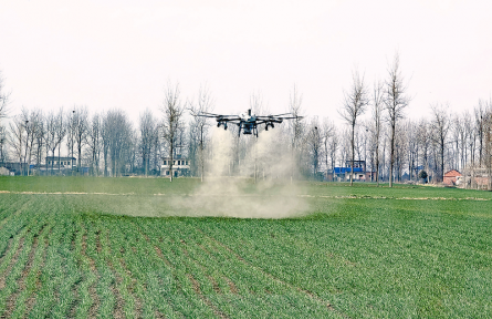 河南正阳：麦田春管忙