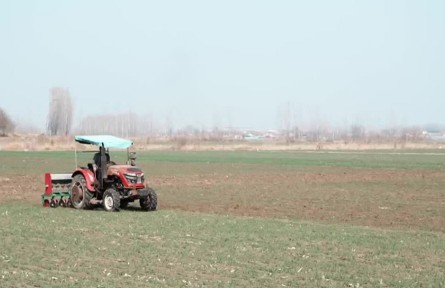 山东青岛：抢农时抓田管 促弱转壮保丰收