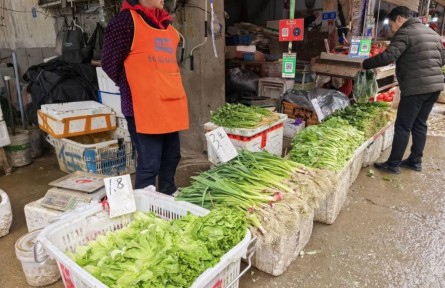 湖北武汉：蔬菜节后供应充足 市场可见多种“1元菜”
