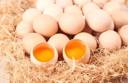 辟谣|土鸡蛋更安全有营养？