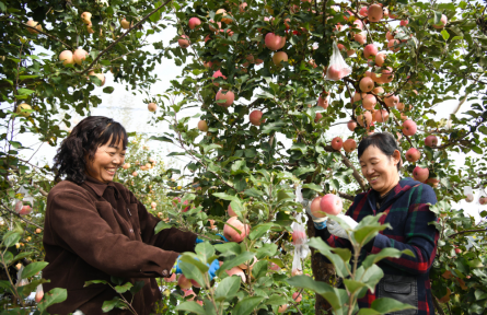 革命老区振兴发展 revitalization and development of old revolutionary base areas