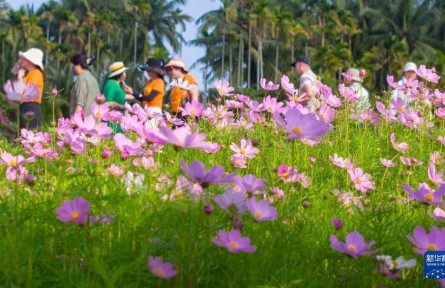 一册繁花 页页生香