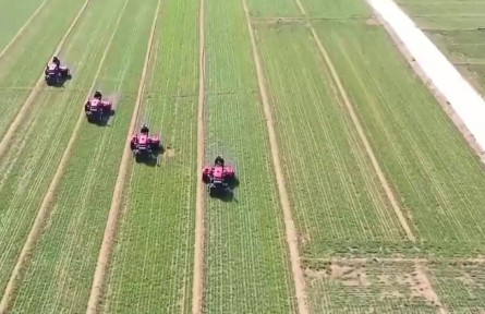 【凝心聚力 真抓实干 奋力实现“十五五”良好开局】锚定建设农业强国目标 提升农业综合生产能力