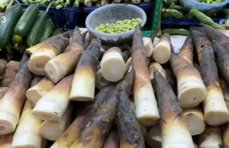 春季消费市场“春鲜”热潮涌动 “春日经济”活力十足