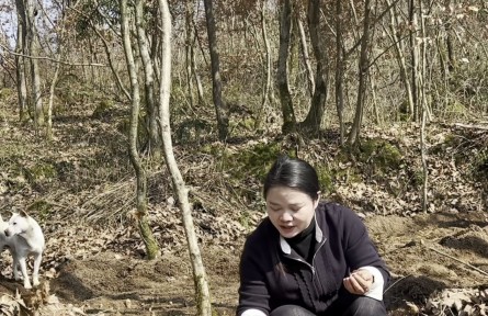 天麻种植技术，看完视频，技术就是你的