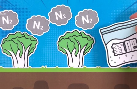 绿色固氮技术让庄稼实现“氮自由”