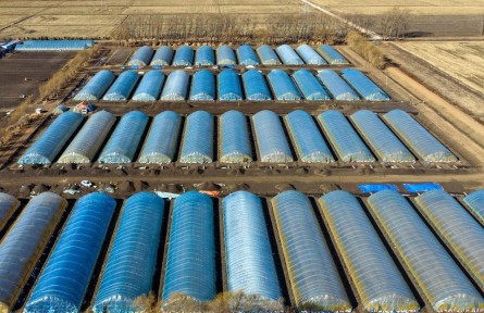 沃野染新绿 春耕绘丰景——从春耕一线看“十五五”开局农业生产新气象