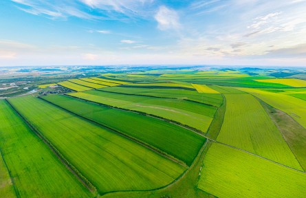 科技名词|绿色农业 green agriculture