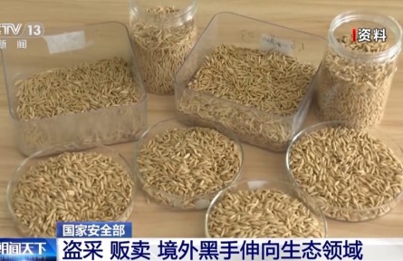 盗采、贩卖……境外黑手伸向生态领域，国家安全机关通报