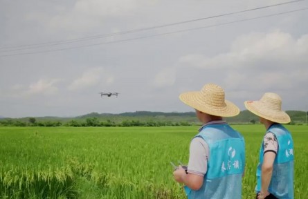 “三农”家底大摸排，这次有啥不一样？