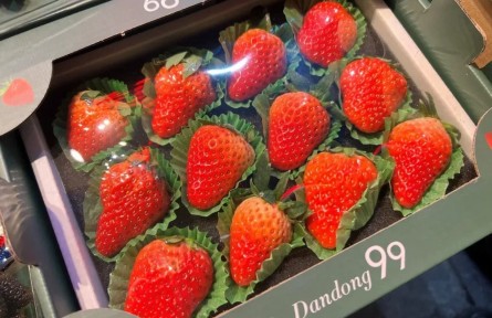 为什么超市草莓放一周不烂，你摘的2天就霉？答案不是防腐剂