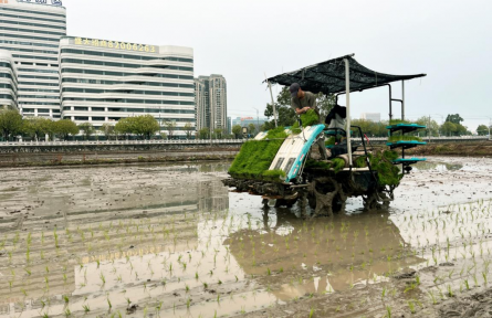 广东白云供销：抢抓降雨间歇！全力打好春耕主动仗