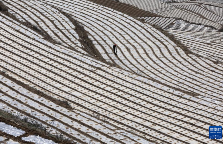 黄土高原上农耕忙