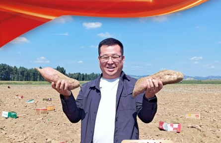 马建波：像红薯藤一样 把根深深扎在土地里