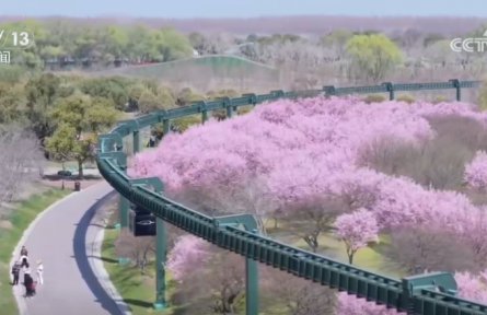 从“种田地”到“种风景” “花样经济”新业态奏响乡村振兴“春日曲”