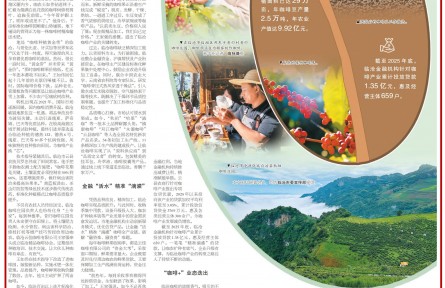 做精每一粒咖啡豆 《人民日报海外版》整版点赞云南临沧咖啡