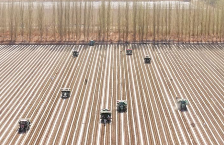 北斗指路播下千行绿 铁牛奋蹄耕出万亩春——从春耕春播看兵团农机装备升级实践