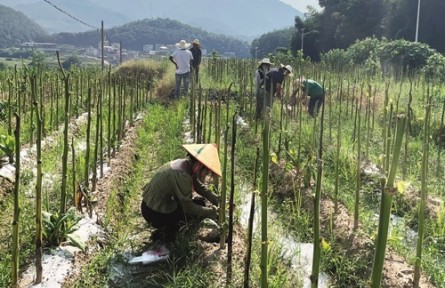 打好净土保卫战 守护耕地安全
