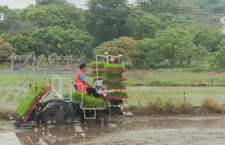 “智慧农机+科技春管”夯实丰产基础 春耕备耕跑出“加速度”育出“高质量”