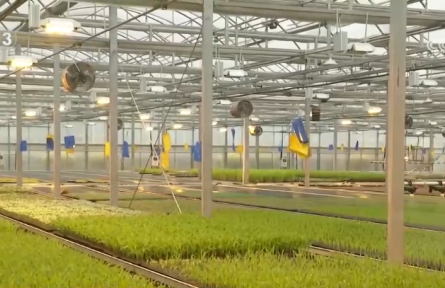 手机变成“新农具” “一键触达” 看春耕春灌里的“科技范儿”