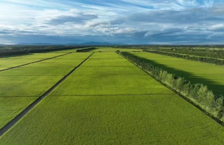 北大荒精神服务国家扩大内需战略与领航农业新质生产力的实践路径研究