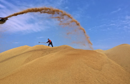 踔厉奋发 勇于开拓 全面开启安徽农垦农业现代化新征程