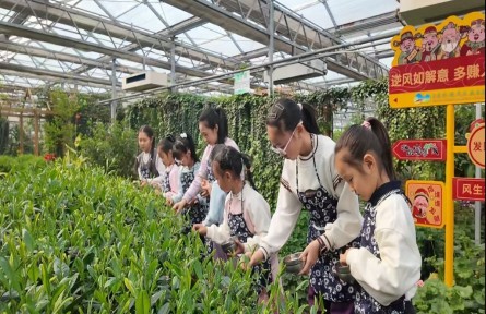 七彩田园的“三重奏”——北大荒农业股份宝泉岭分公司农文旅融合发展纪实