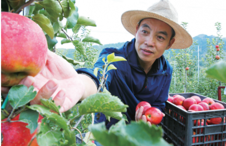 科技赋能果业 合作共创未来—— 淄博市沂源县新科农技服务专业合作社的智慧农业实践与思考