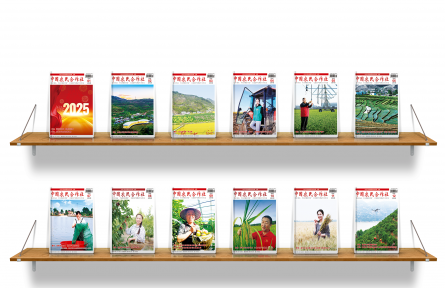 四川省峨眉山市：以生物育种赋能大豆玉米带状复合种植