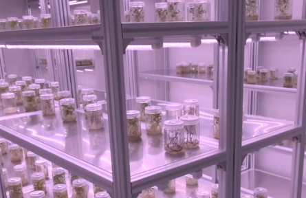 收集引进种质资源 生物育种新技术加速应用