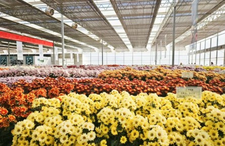 春早抓培训 稳粮保供给——全国农广校体系开展冬春农民大培训