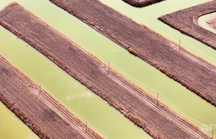 高质量发展看中国 | 黄河盐碱滩何以变成塞外米粮川？