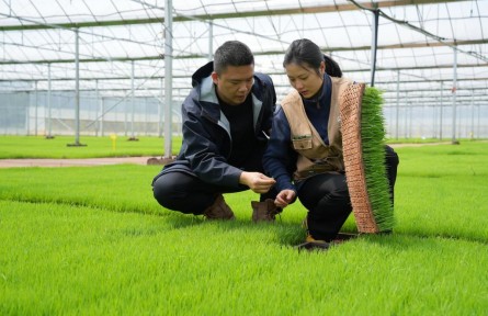 “95后”新农人骆雨：会开10种农机，种4000多亩田